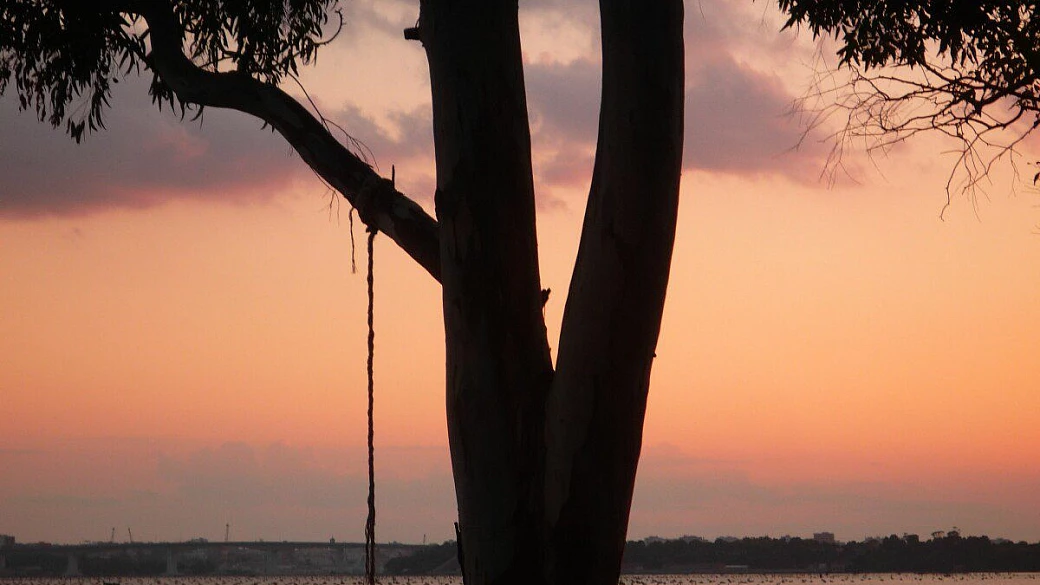 che strana gente sti padani milanesi di fiction