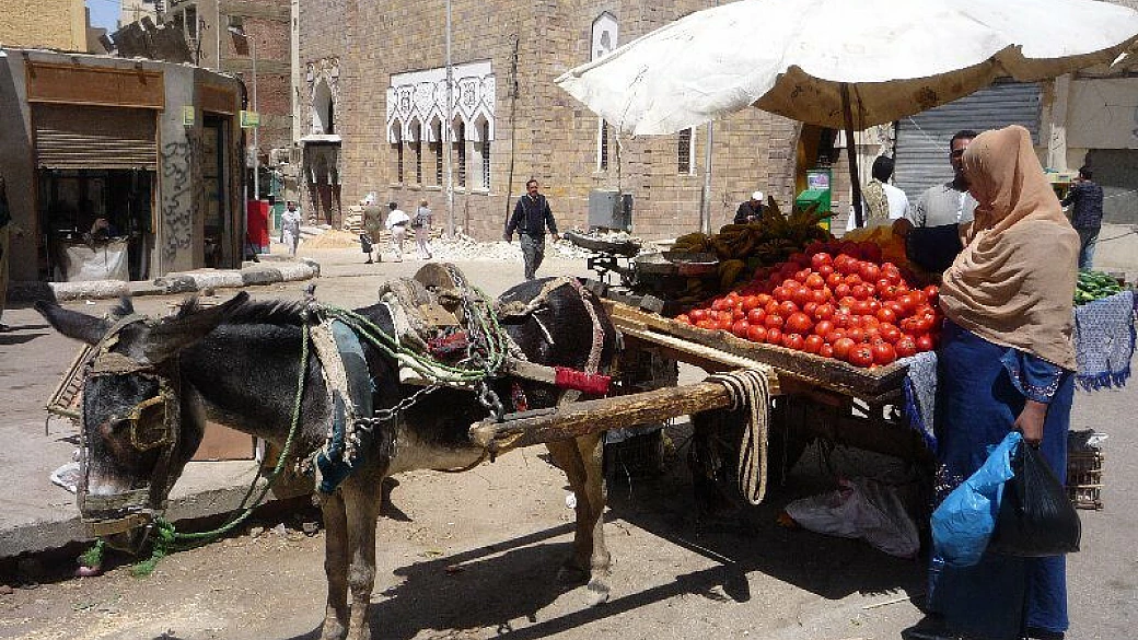 il cairo e crociera sul nilo