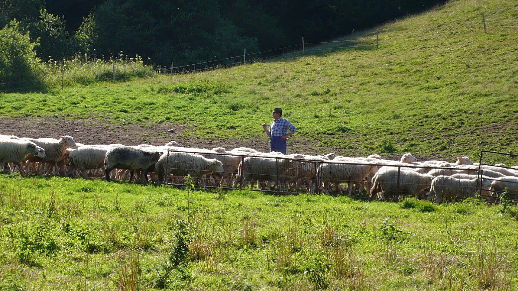 bratislava partyslava