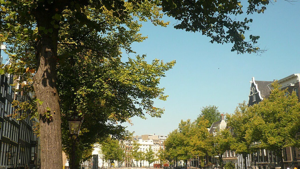 amsterdam un paradiso di emozioni !!!!!