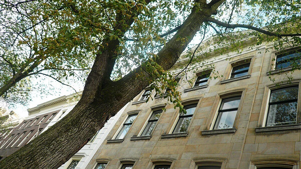 paesi bassi: canali, birra e tanto altro