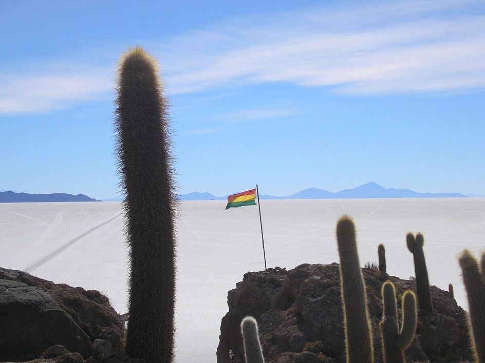 patriottismo boliviano