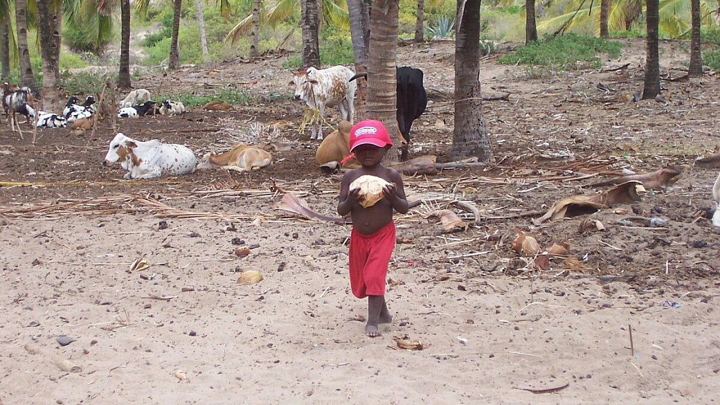 il kilimanjaro sotto le lampadine del cielo