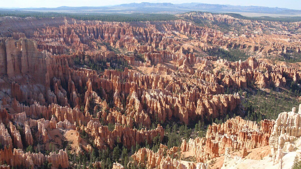 new york, dolce frenesia