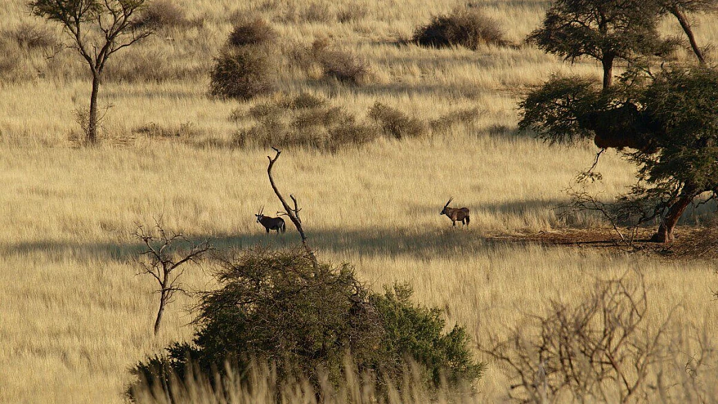 namibia, dalle epupa falls al fish river canyon