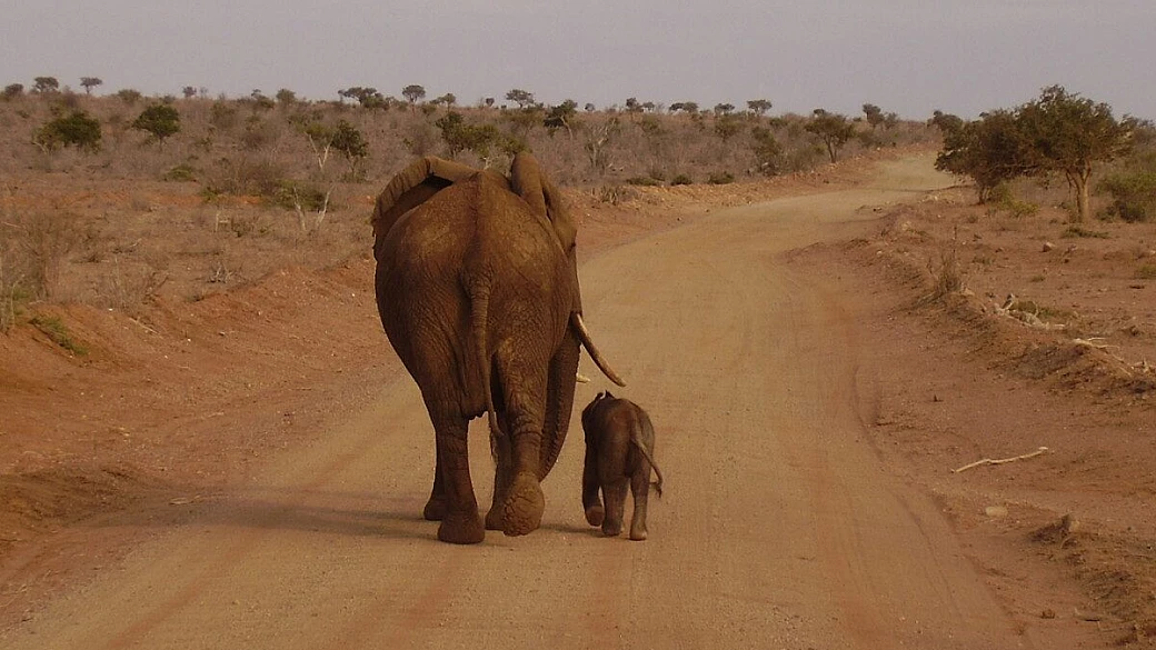 kenya, viaggio in un pezzo d'africa