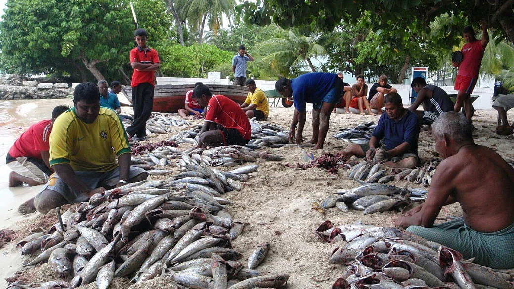 bathala - un gioiello nell'oceano