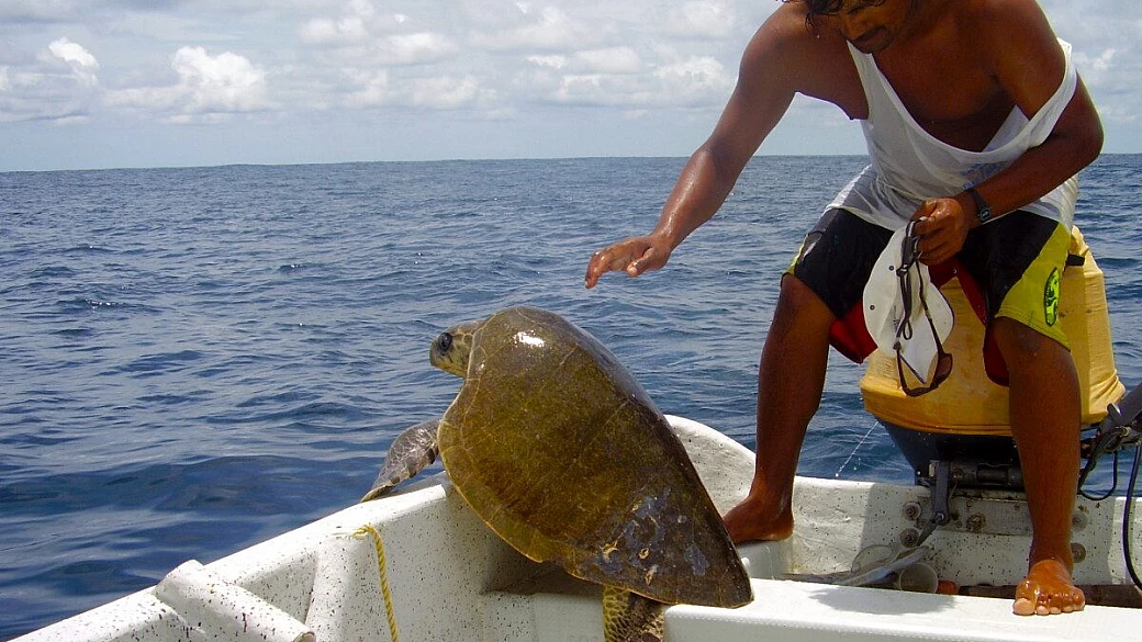 viaggio di nozze a tappe libere!