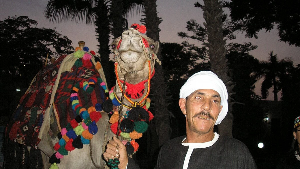 marsa alam - elphistone