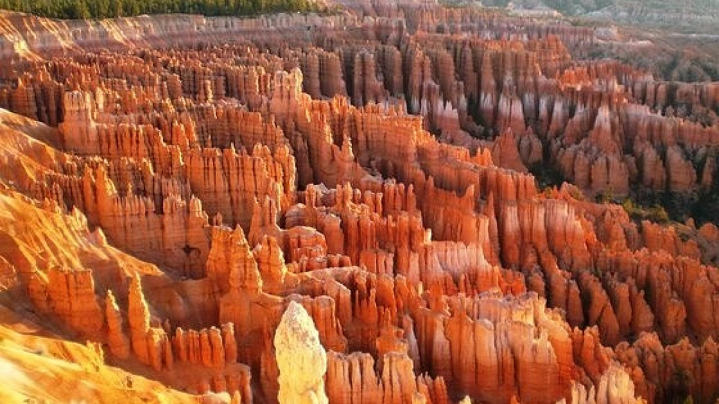 primavera nei parchi americani