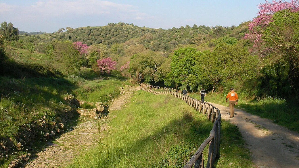 il vino, il relax e il tufo