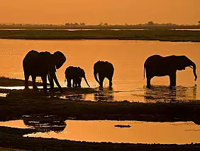 parco-nazionale-del-serengeti-qmwgq