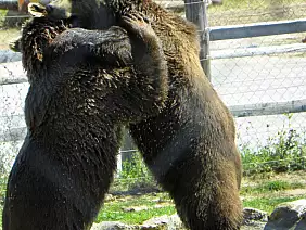 parco-nazionale-di-plitvice-64224