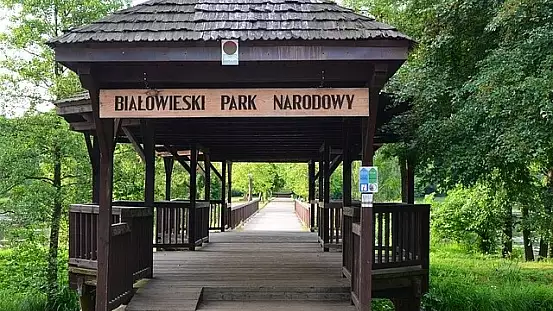 parco nazionale di białowieża