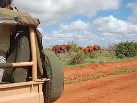 parco-nazionale-tsavo-east-ty5nj