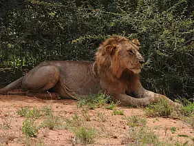 parco-nazionale-tsavo-east-yswdc