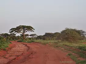 parco-tsavo-est-4qphs