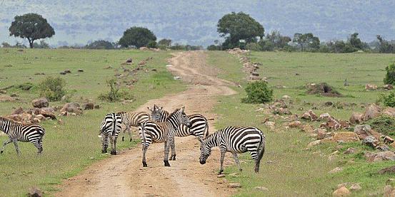 Mare e safari in Kenya