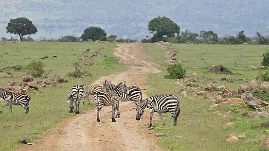 mare e safari in kenya