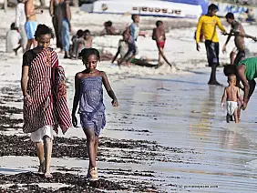 parco-tsavo-est-814f9