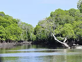 parco-tsavo-est-br9z8