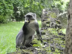 parco-tsavo-est-m5zhx