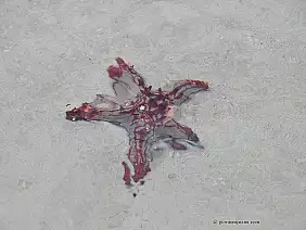 parco-tsavo-est-n668e