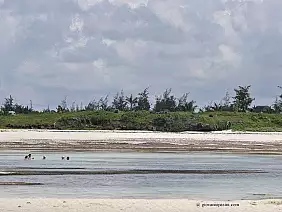 parco-tsavo-est-tyber