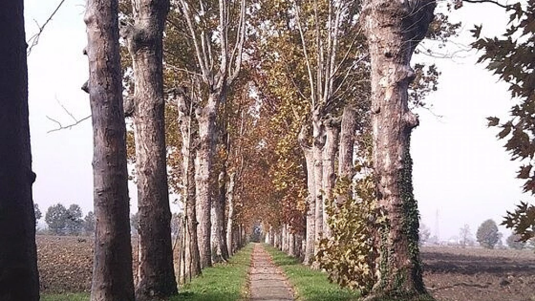 terre verdiane e dintorni