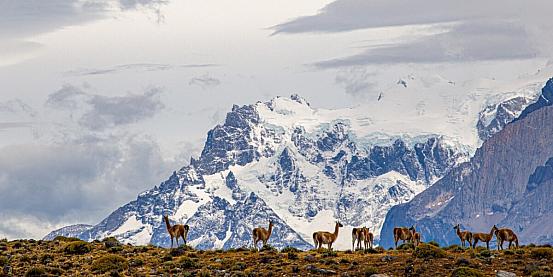 patagonia, terra del fuoco e falkland: la selvaggia bellezza del sud del mondo