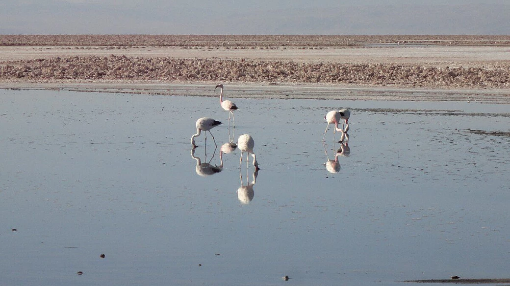 e ora mi eclisso in cile...