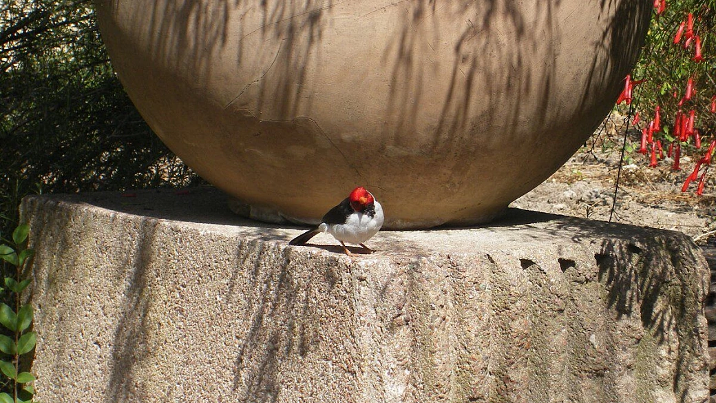 consigli pratici per parigi