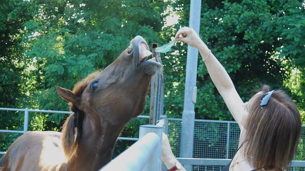 agriturismo, padre pio e isole tremiti