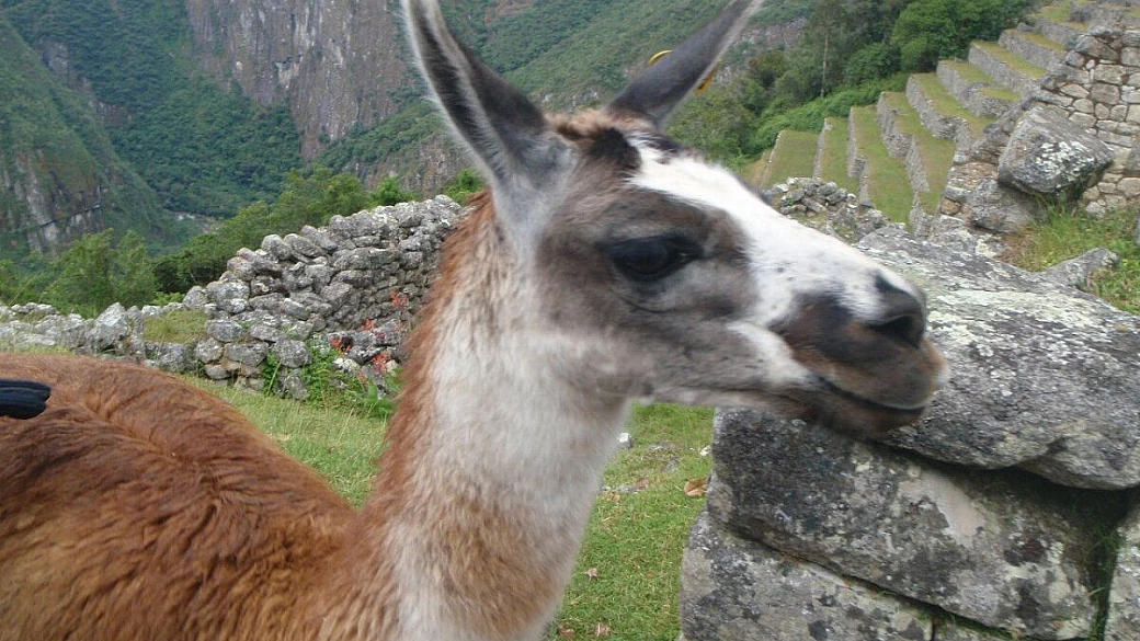 su e giu un mese in peru parte seconda