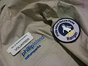 phillip-island-bx1mp