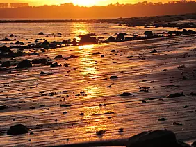 phillip-island-wgg2t