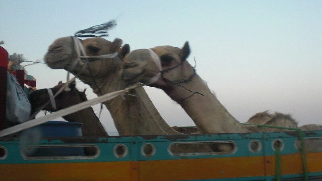 sharm eden village holiday inn