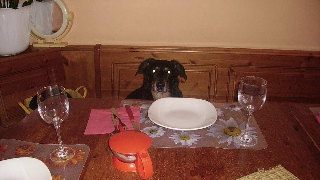 emilia: l'arte del bel vivere