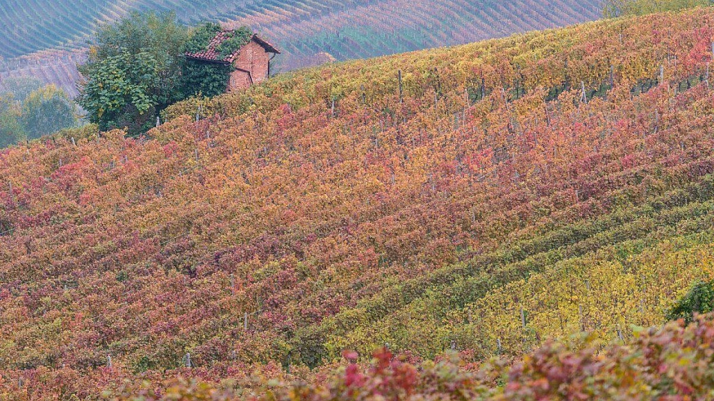 langhe, tutte da... assaggiare
