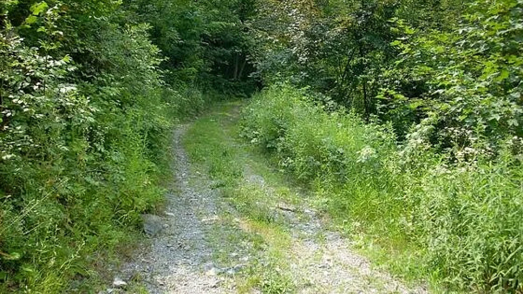 percorsi escursionistici a grognardo