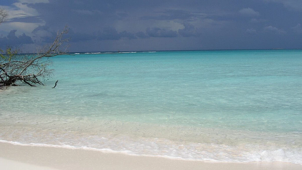 cayo largo, una sorpresa