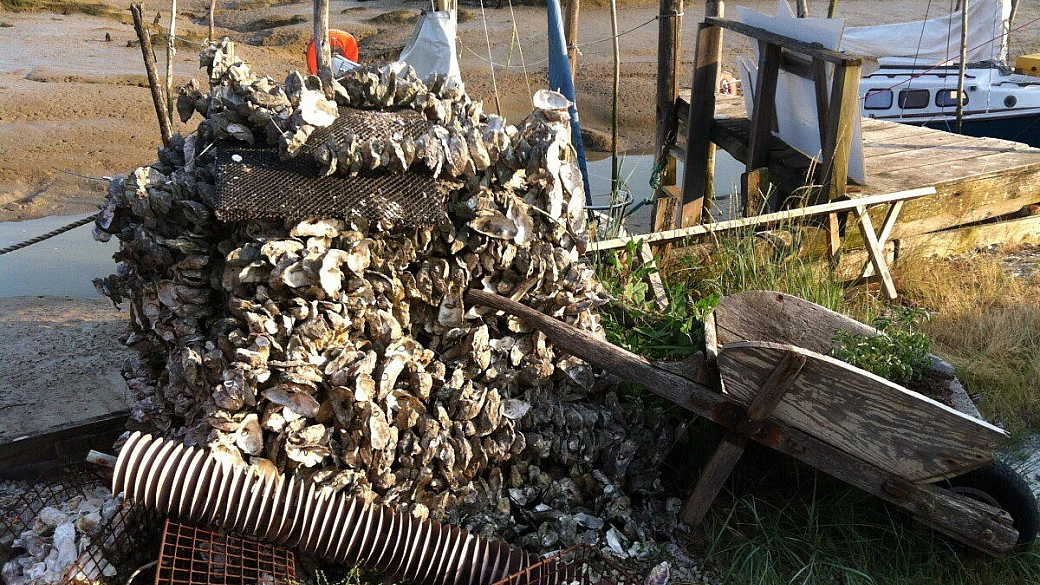 weekend sull'oceano, la charente marittima