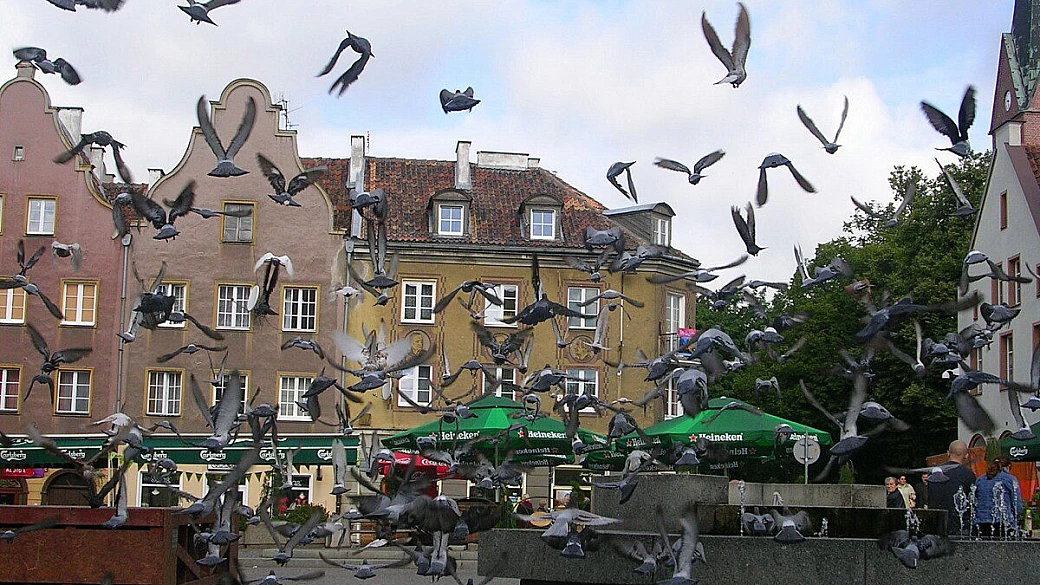 polonia in camper di viaggio con bimbi al seguito