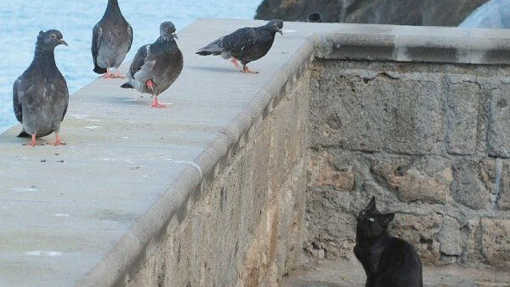 magica castelrotto d'estate