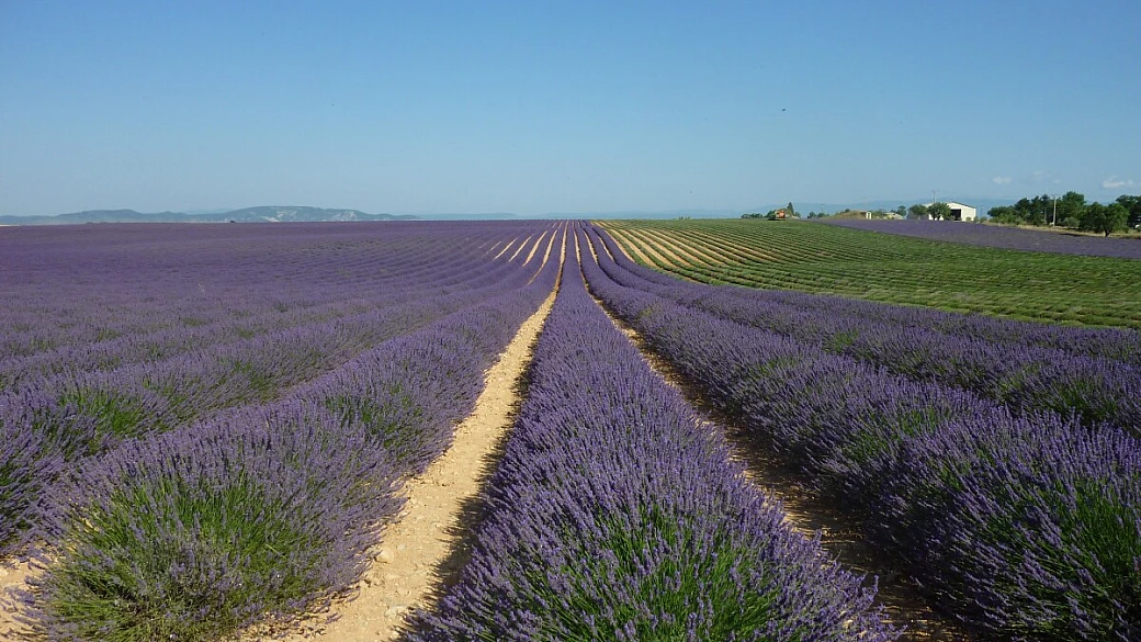 paesaggi meravigliosi in provenza