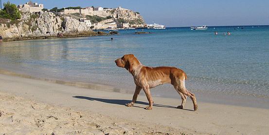 chi l'ha detto che a settembre al mare non c'è un cane?