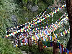 punakha-nqv83