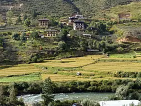 punakha-s9vaf