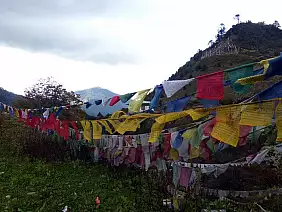punakha-tuj51