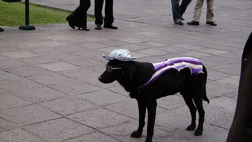 sopravvissuti al peru'